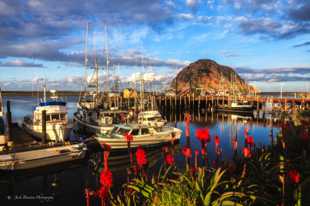 Morro Bay-2073.jpg Morro Bay-2073.jpg